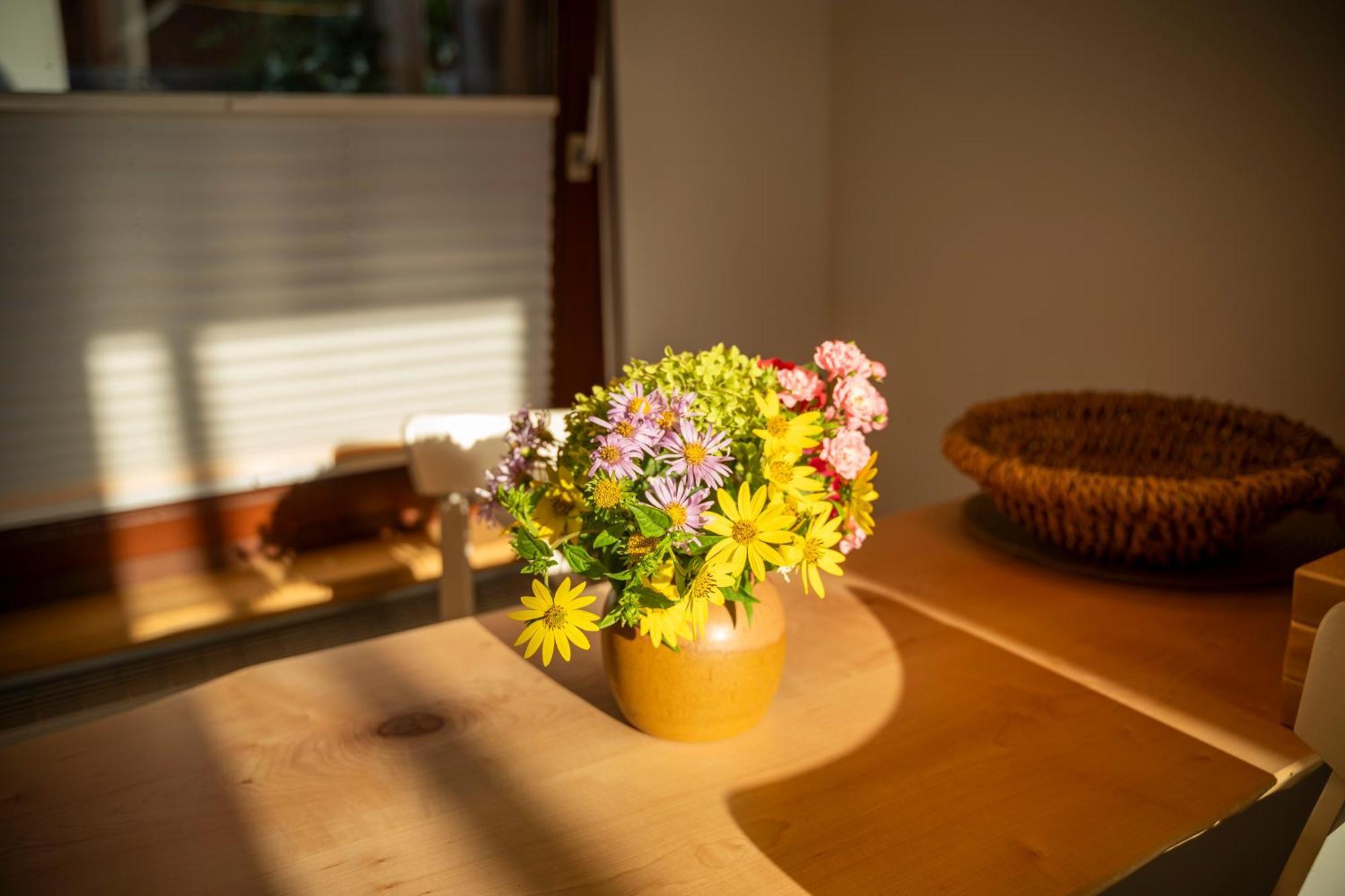 マクデブルクHaus Unterm Mammutbaum - Elberadwegアパートメント エクステリア 写真